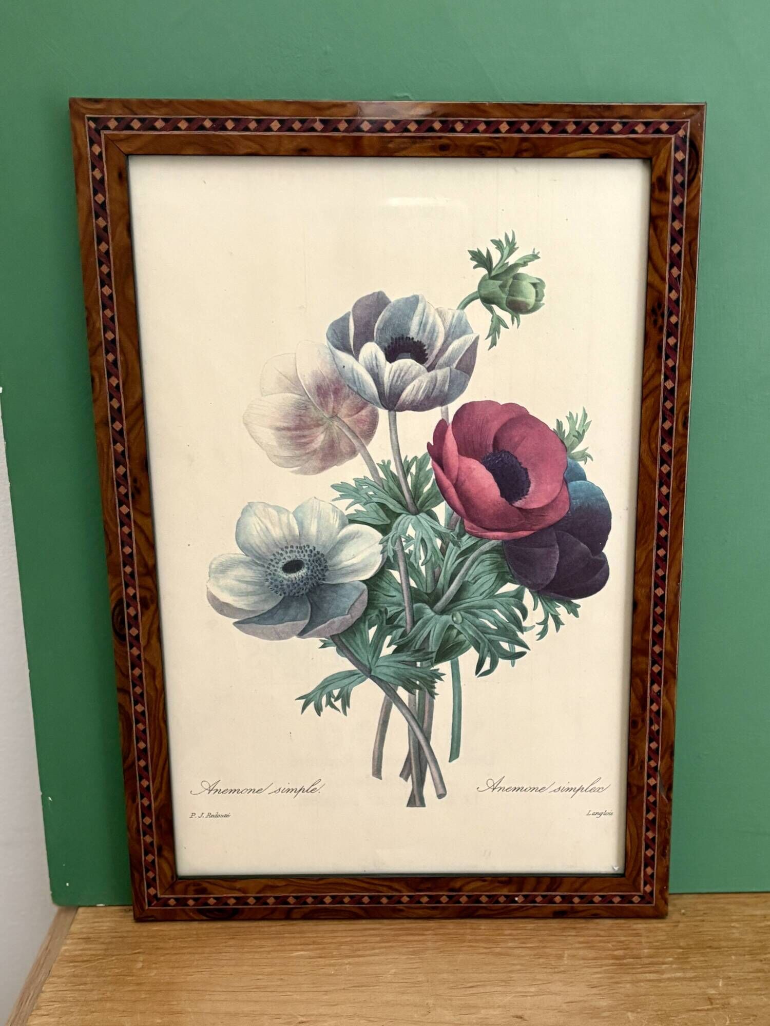 Vintage frame drawing of anemones by Redouté.