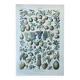 Botanical plate "Fruits" - 18.8x27.8cm