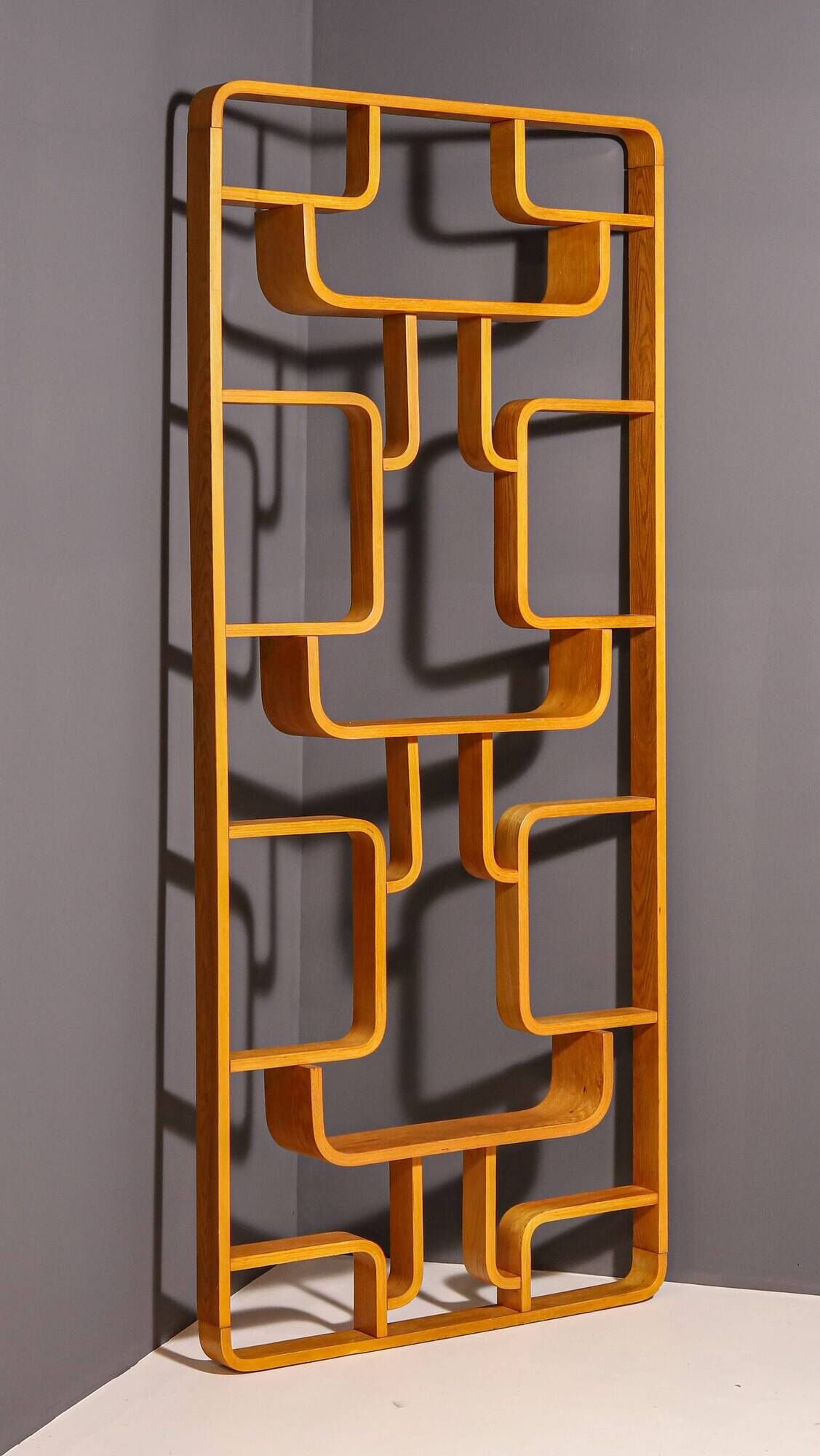 Mid-Century Divider by Ludvik Volak for Drevopodnik Holesov, 1970s