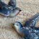 Old pair of porcelain birds for wall decoration.