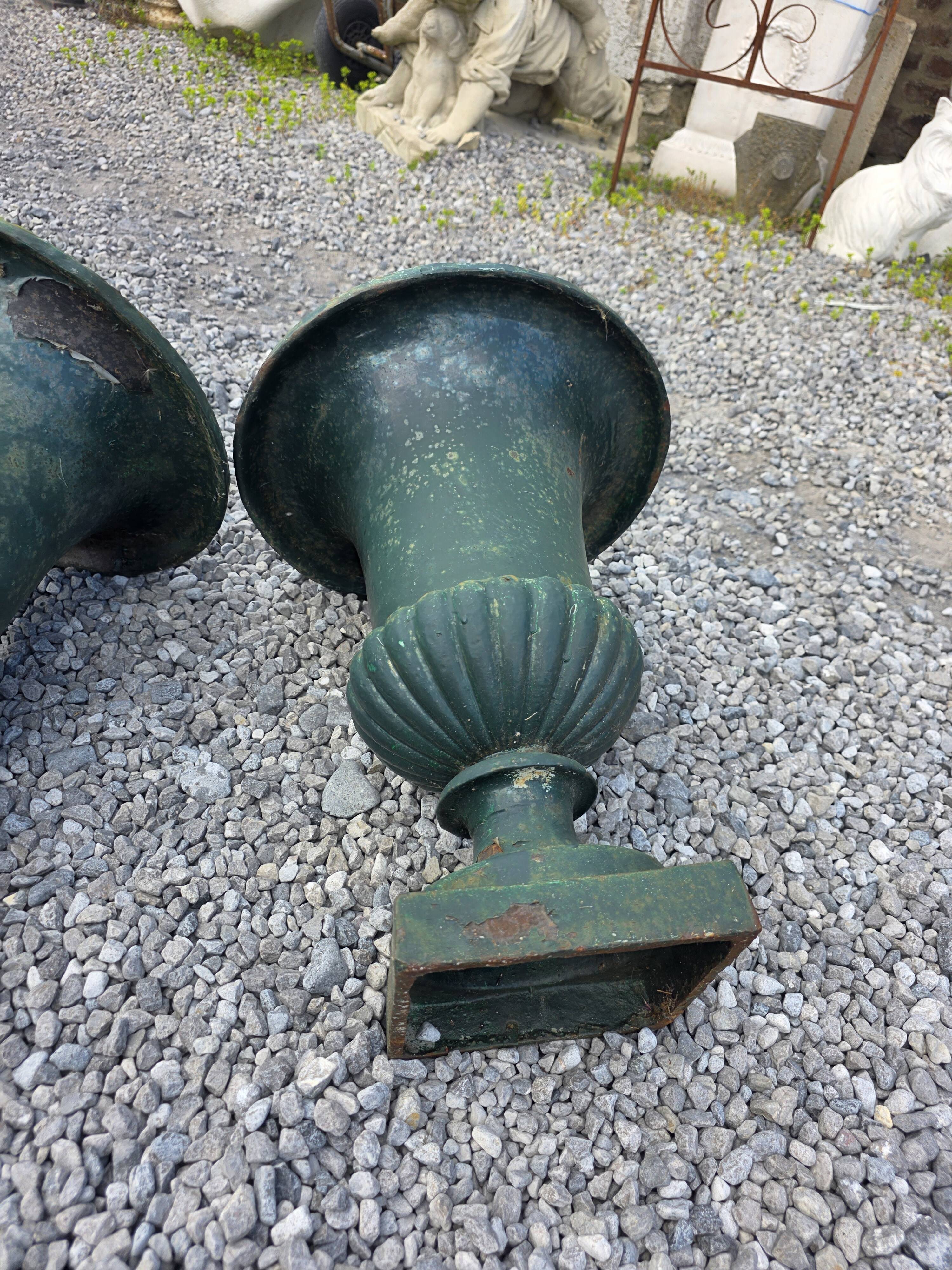 Pair of antique Medici vases in cast iron