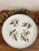Round porcelain bird dish