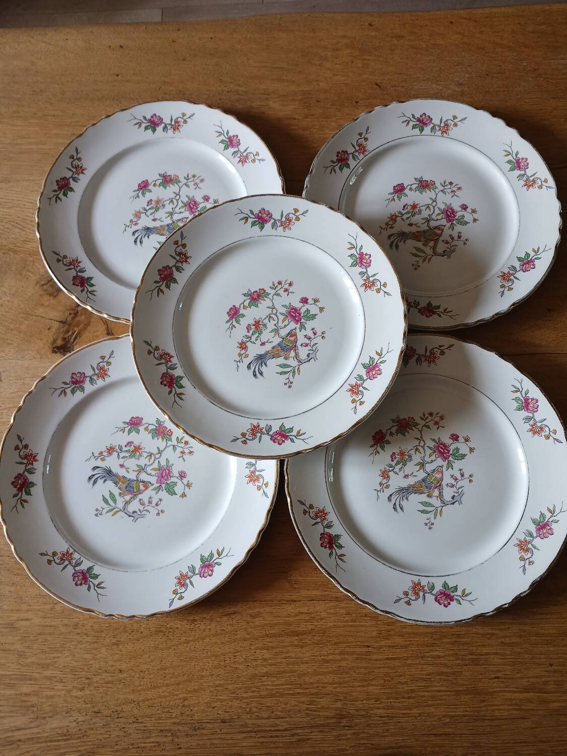 5 old Moulin des loups flat plates