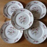5 old Moulin des loups flat plates