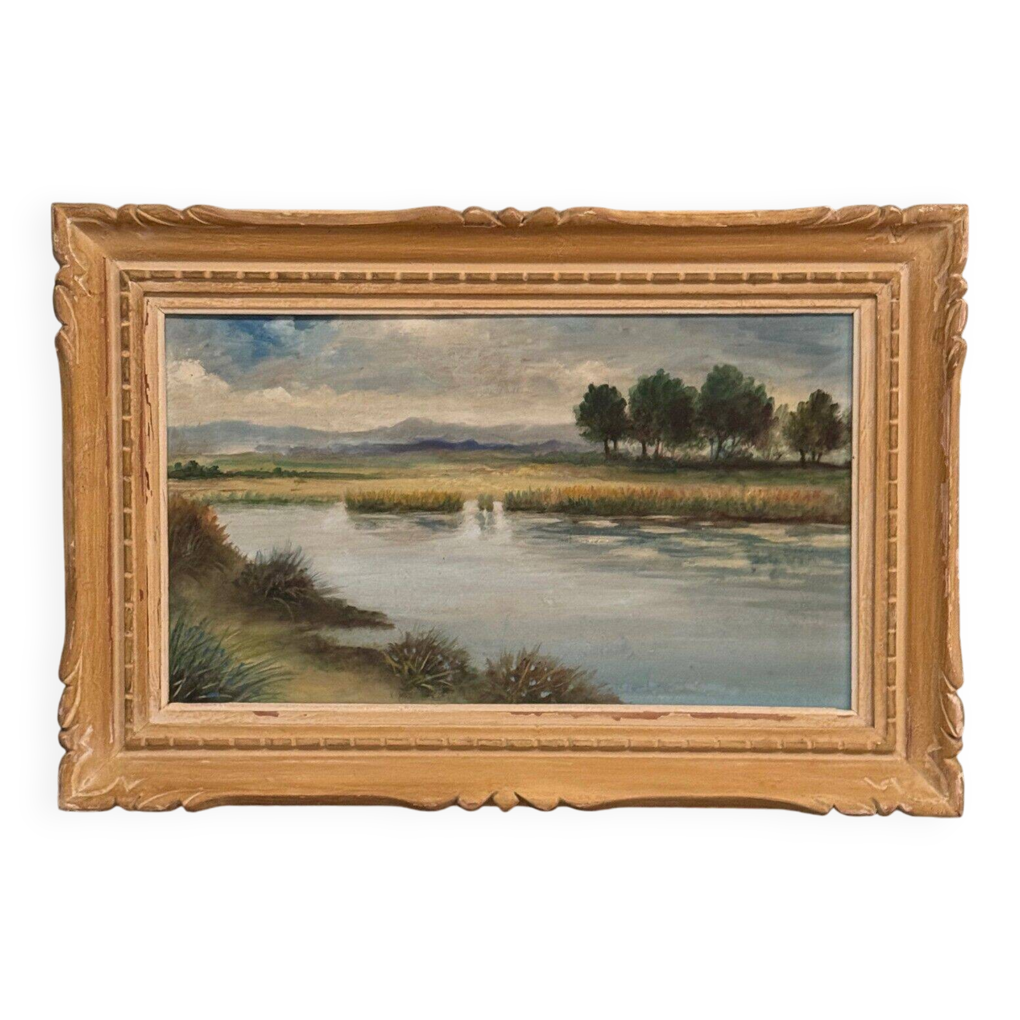 Oil on panel representing a pond 20th century