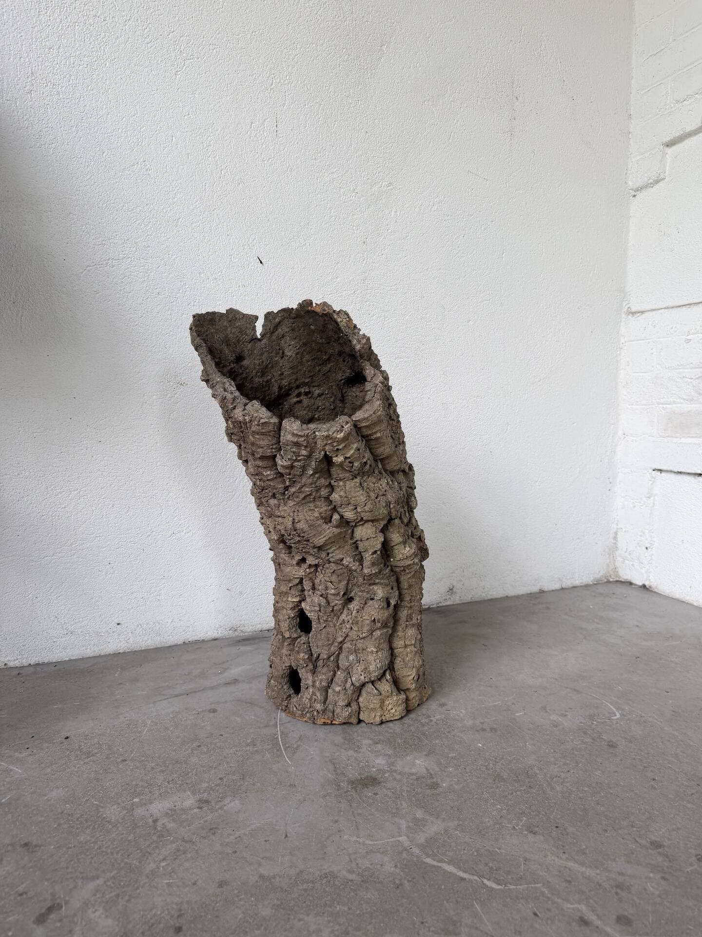 XL cork bark vase