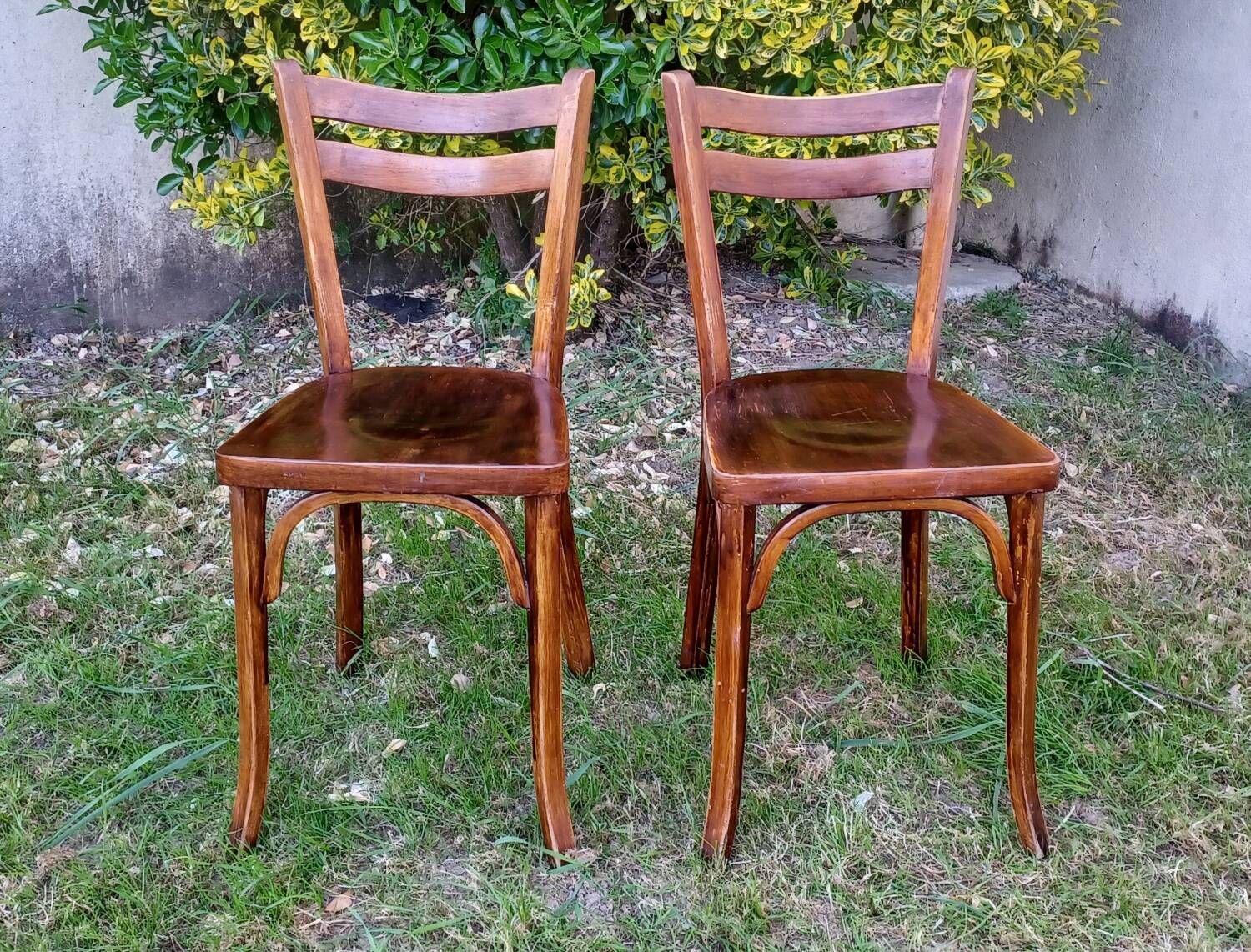 Paire de chaises bistrot Baumann n°56