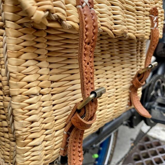 Double bike bag