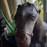 Ancien jouet cheval en cuir