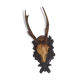 Crane deer taxidermy