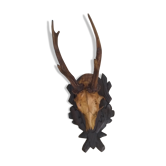 Crane chevreuil taxidermie