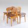 Mid- Century Modern Dining Chairs in Scandinavian Style