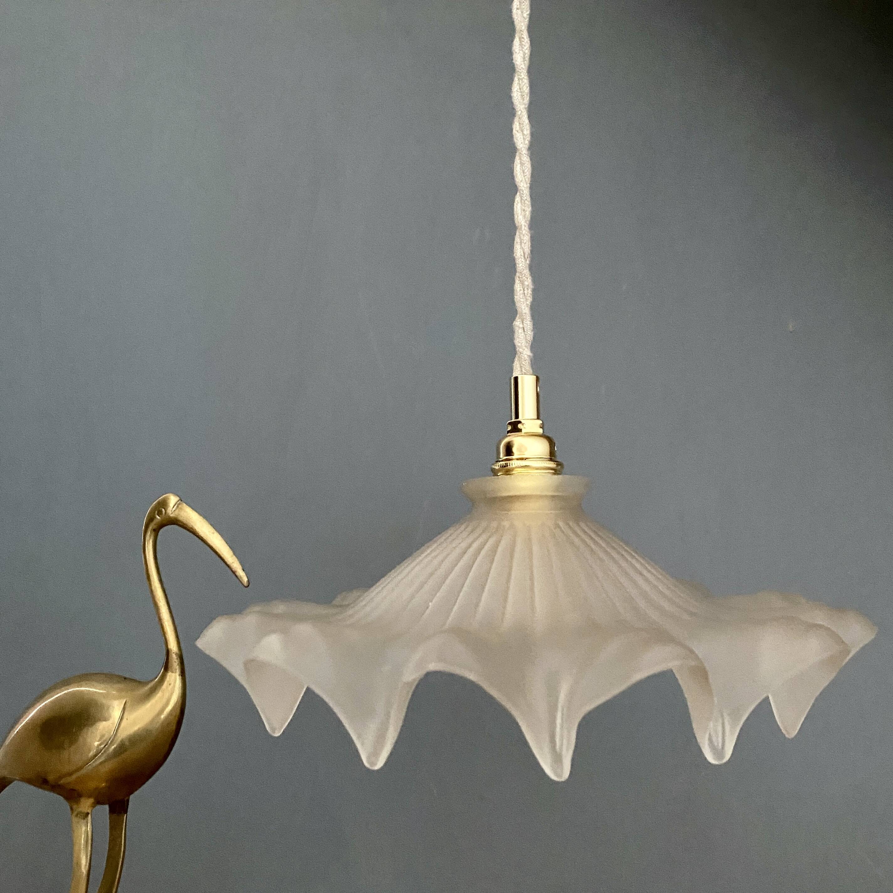 Vintage frosted glass lampshade pendant light