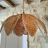 Lotus suspension in vintage cannage