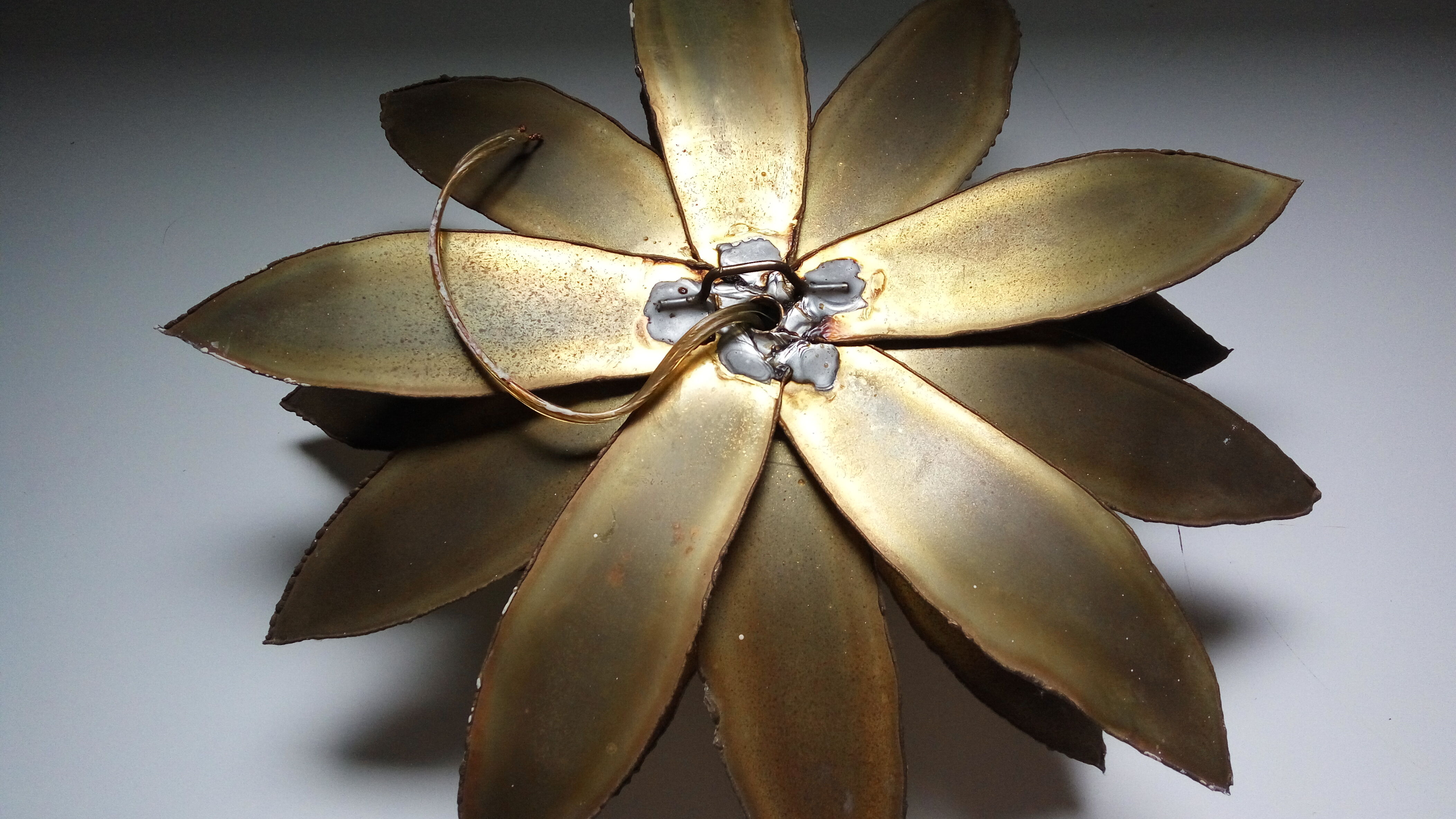 Vintage lotus flower wall lamp