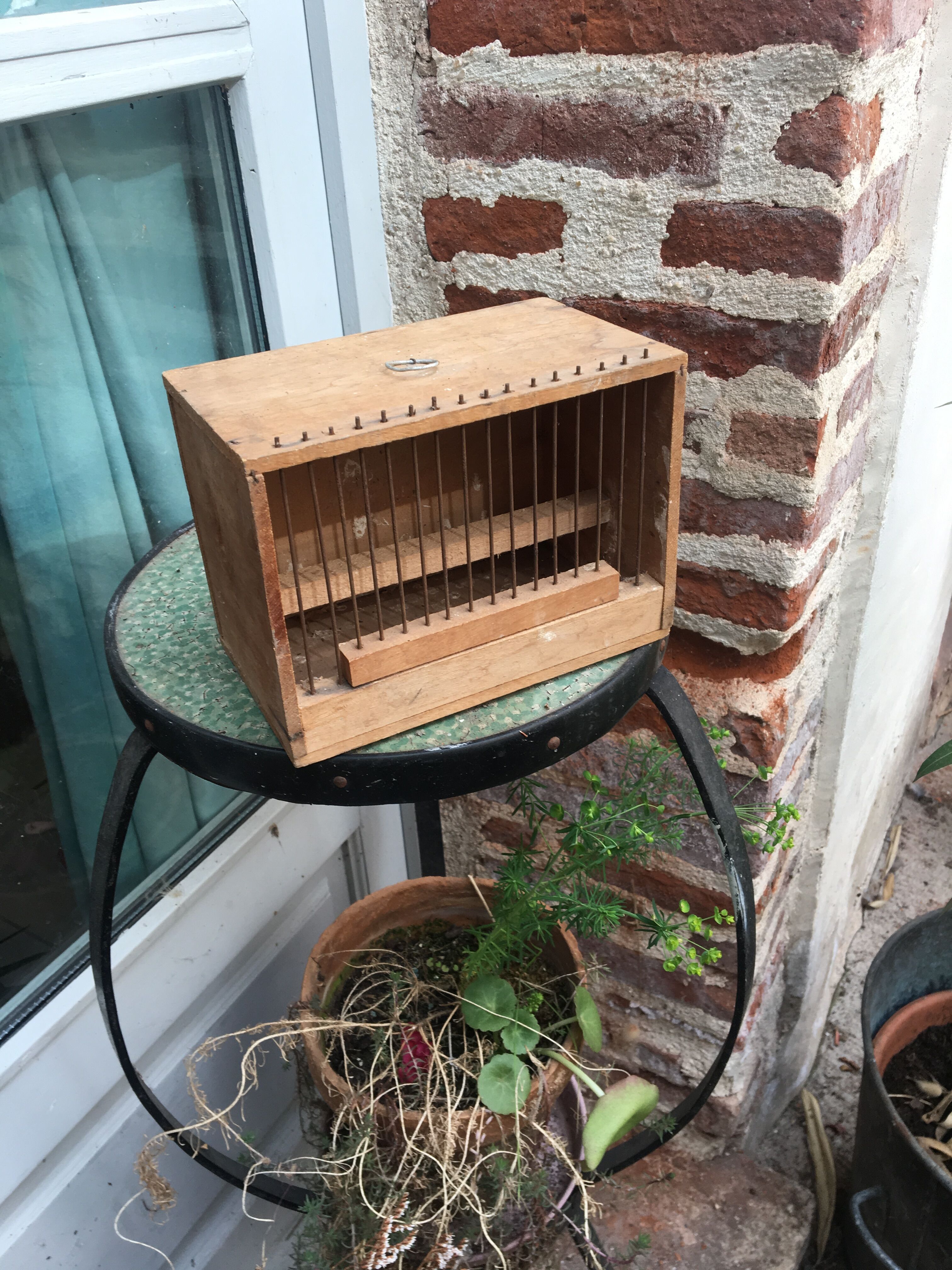 Old bird cage