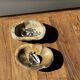 Dark beige oval petrified wood bowl 25x19 - 3782