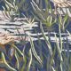 Contemporary seventies tapestry