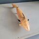 Vintage handmade wooden articulated fish - Ref 854
