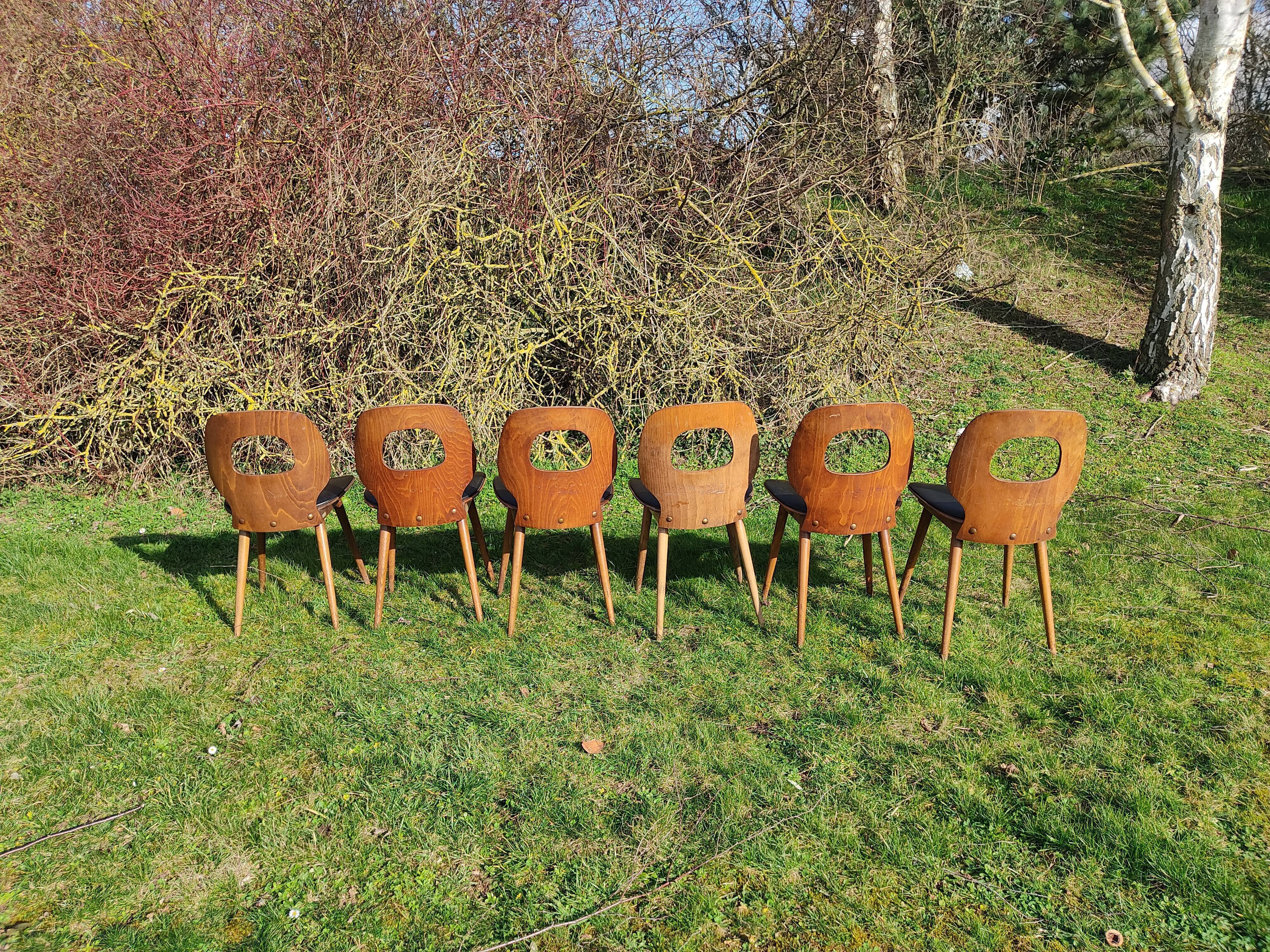 Baumann X6 chairs, Ant model