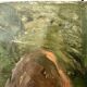 Old oil painting on canvas "The Haystacks" dated 1902.