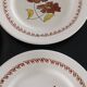16 assiettes vintages
