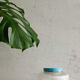 Vintage Czechoslovak Table Lamp Napako 8 5139, 1960s