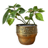 Brass planter 70s-80s