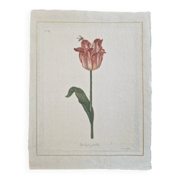 La Roche Laffitte (Born in 1943) - Watercolour drawing on silk - Tulip