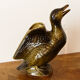 Duck pitcher in slip