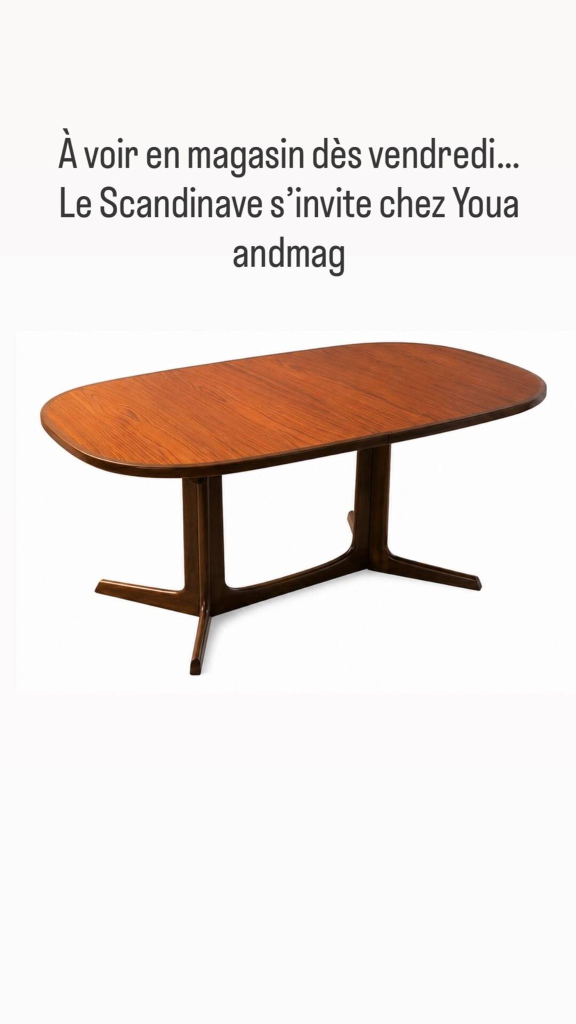 Table à manger extensible scandinave