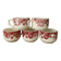 5 tasses anciennes Badonviller fruits