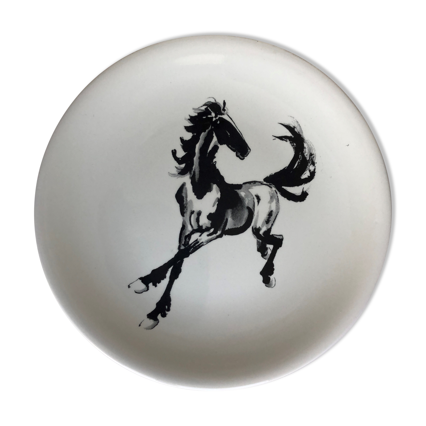 Salins collection plate