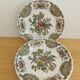 6 Windsor dessert plates by Ridgway Staffordshire