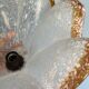 Chandelier tulips glass Mazzega Murano Pendant lamp 1970