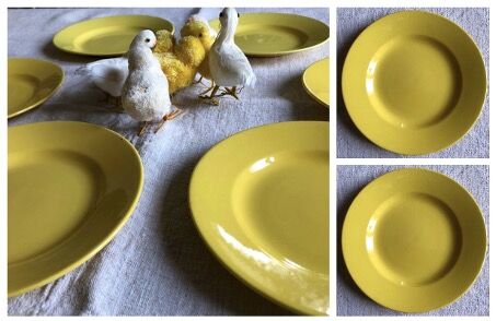 10 dessert plates Creil and Montereau H.B.C.M France