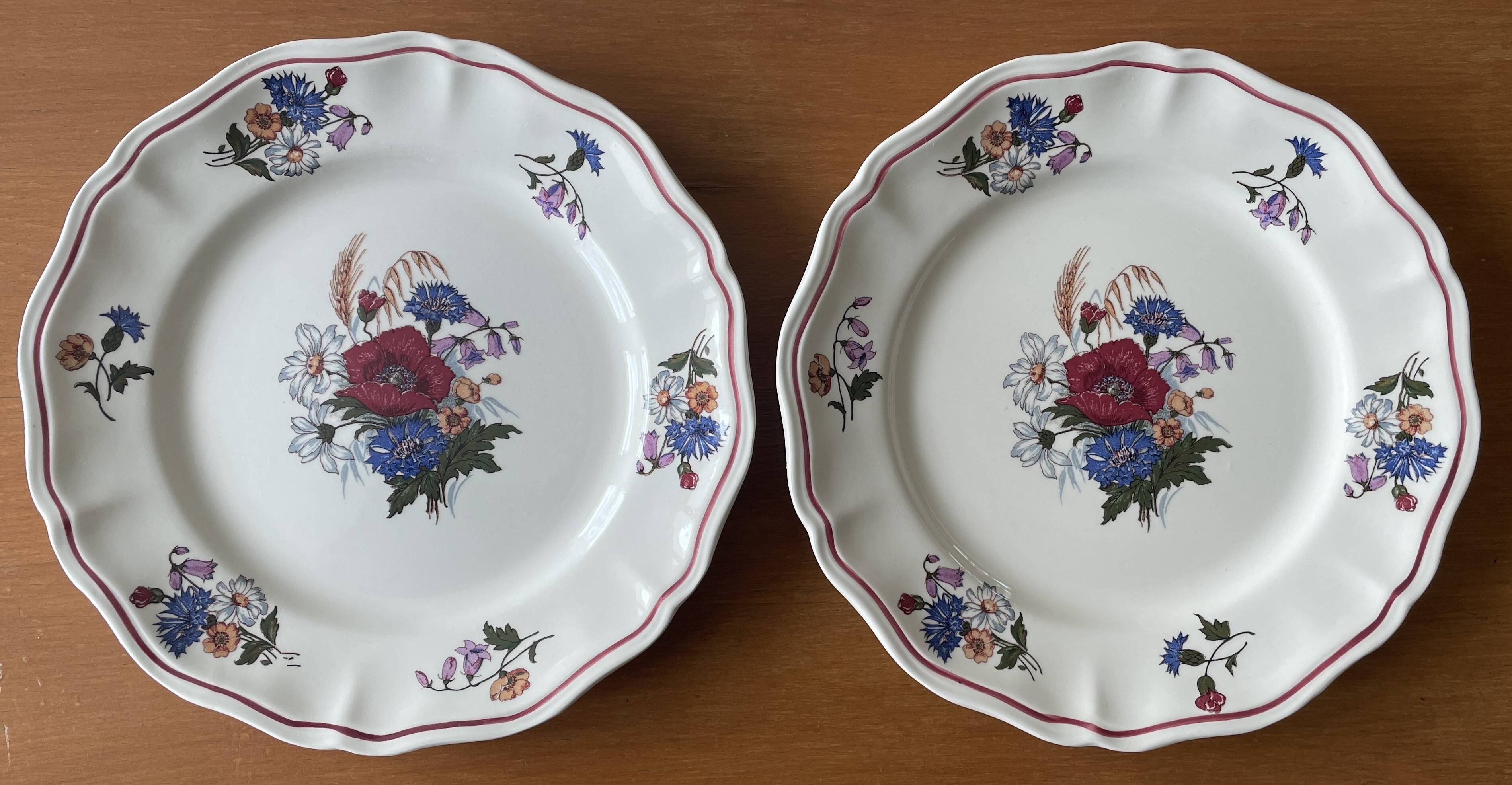6 large flat antique plates in Sarreguemines earthenware