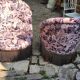 Pair of frog chairs