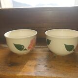 Duo of Villeroy & Boch Cup "Wild rose"