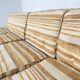 Modular sofa "Can Can" by Luciano Frigerio for Frigerio Di Desio – 1960s