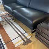 Roche Bobois sofa