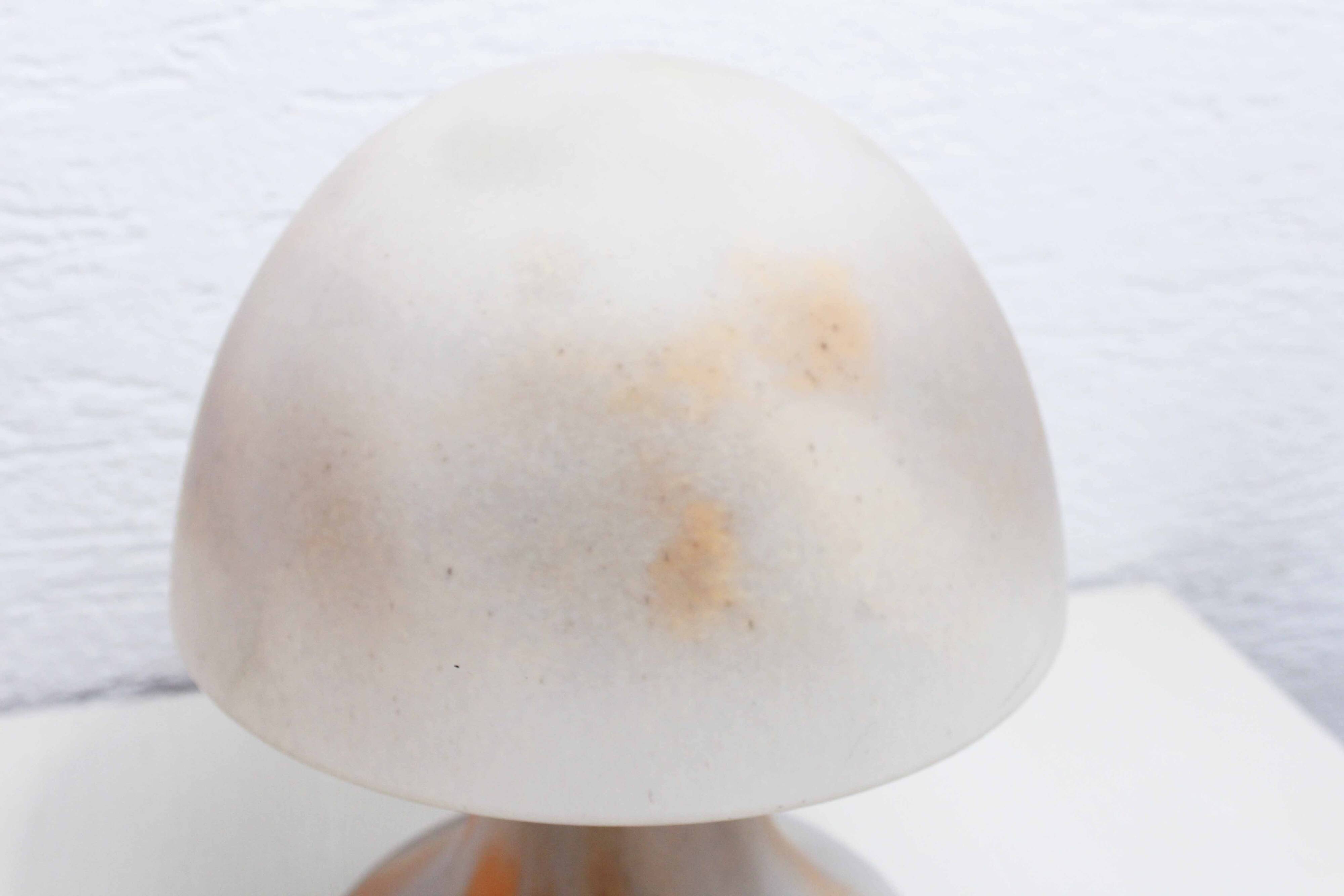 Pair of LIMBURG glass paste lamps