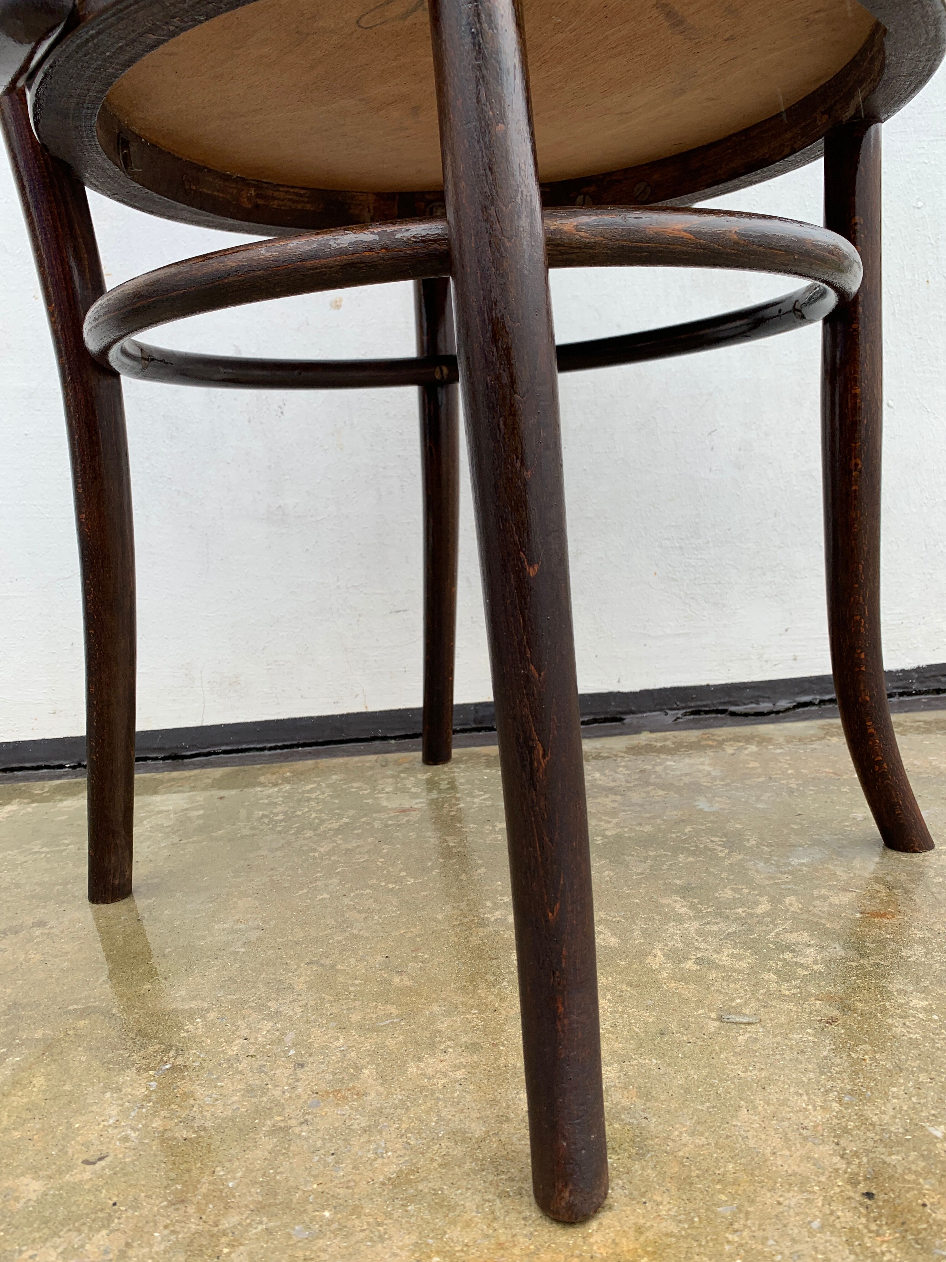 Art Nouveau office armchair, Austrian, in curved wood, signed Fischel