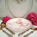 Antique mounted plate in ironstone earthenware.