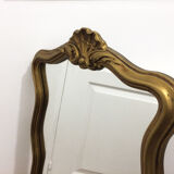 Golden rectangle shell mirror with leaf - 82x41cm