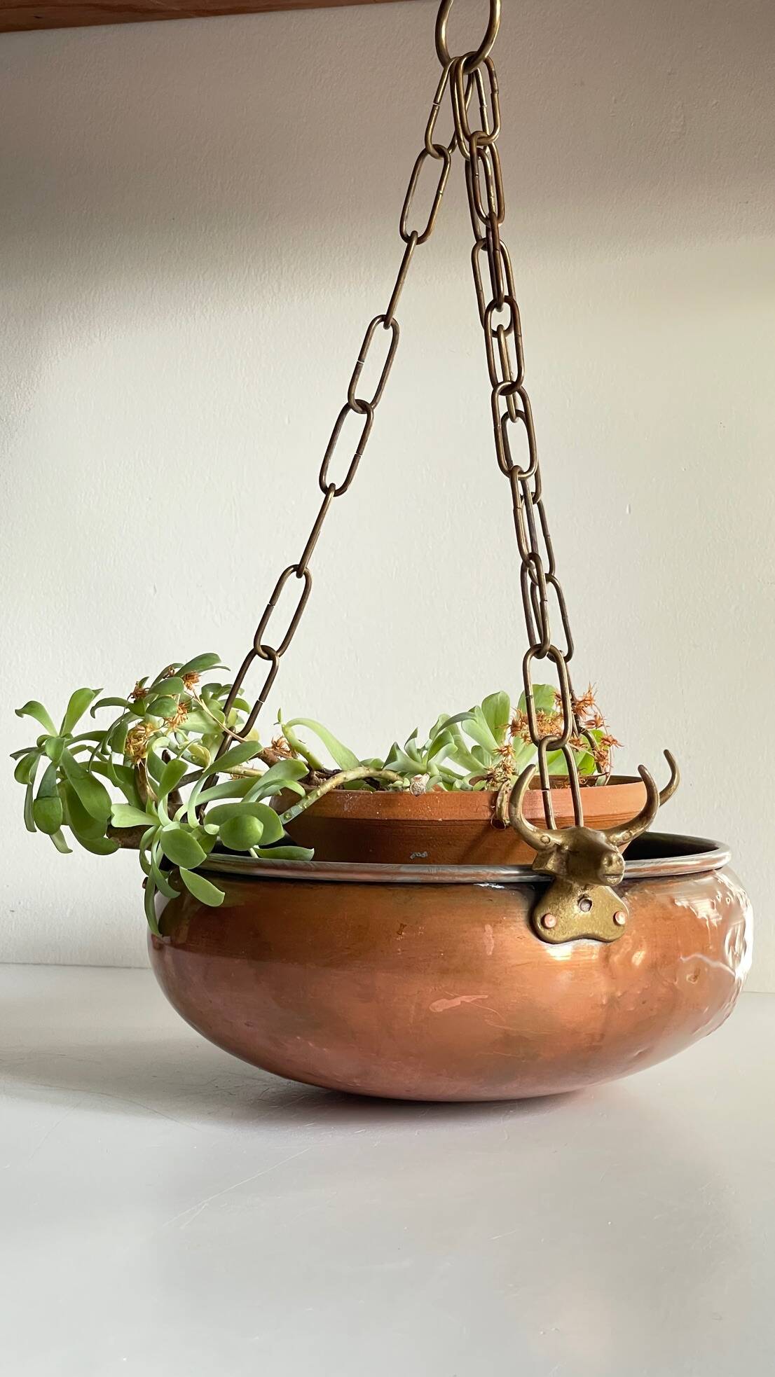 Vintage 3 buffalo hanging planter