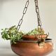 Vintage 3 buffalo hanging planter
