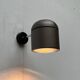 Vintage Space Age wall or ceiling lamp by Staff Leuchten, 1970s.