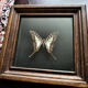 Naturalized butterfly