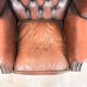 Vintage rustic dark brown leather chesterfield wingback armchair wassenaar